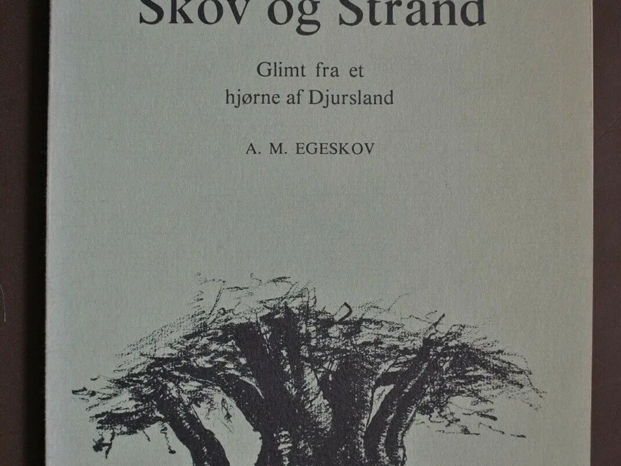 Billede 1 - mellem skov og strand - glimt fra et hjørne af dj,