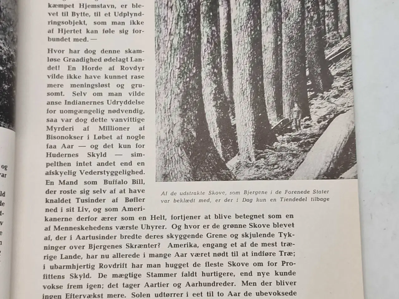 Billede 7 - WW2 - Original germansk budstikke