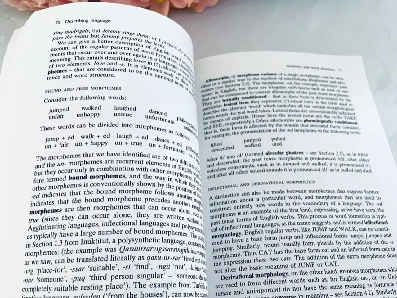 Billede 4 - Describing Language