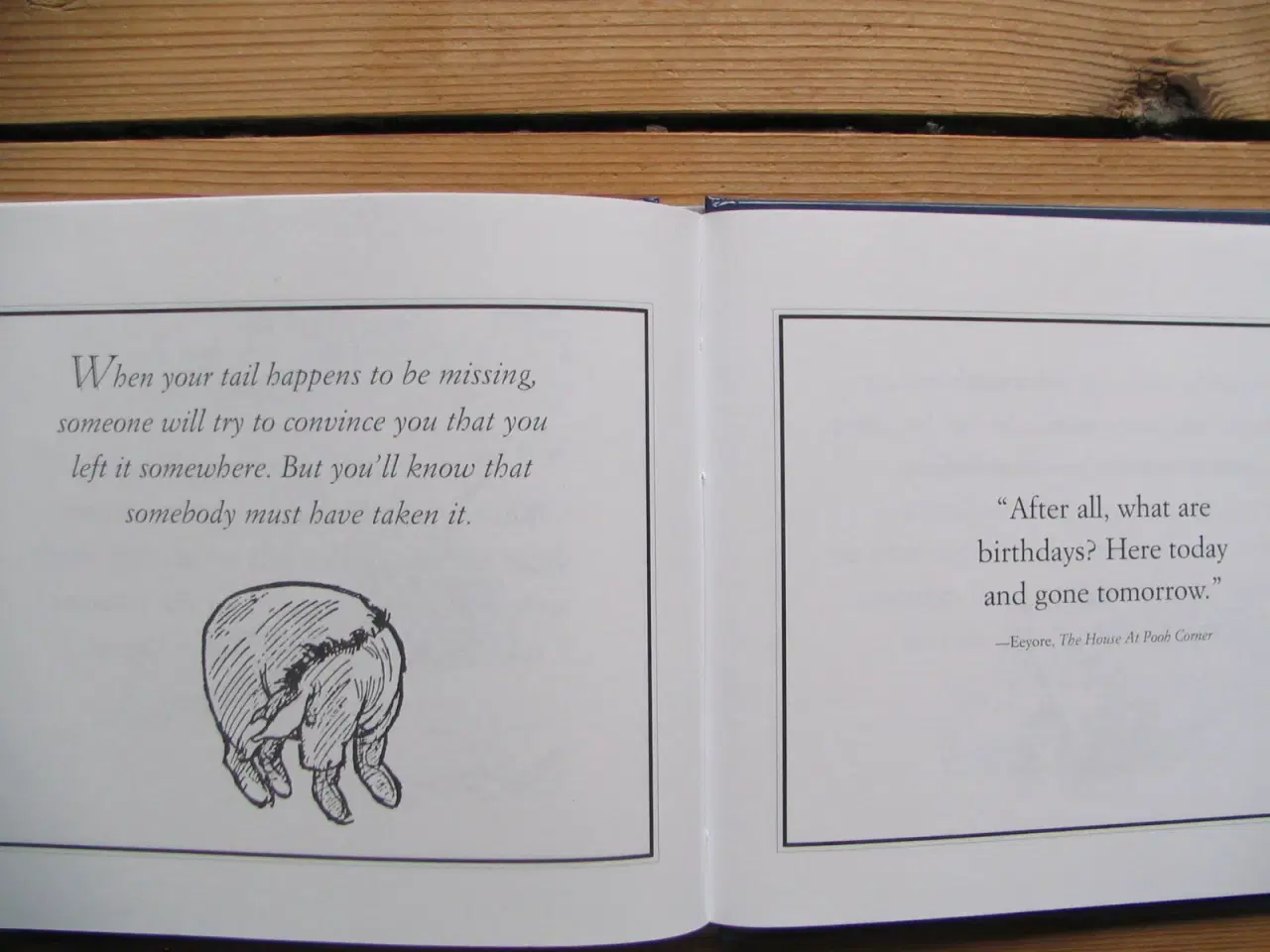 Billede 7 - Eeyore's Gloomy Little Instruction Book