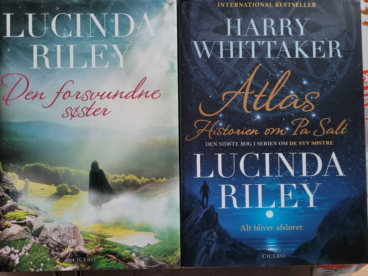 Billede 4 - Lucinda Riley de 7 søster 