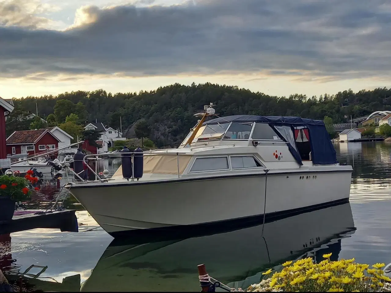 Billede 3 - Coronet 31 sf
