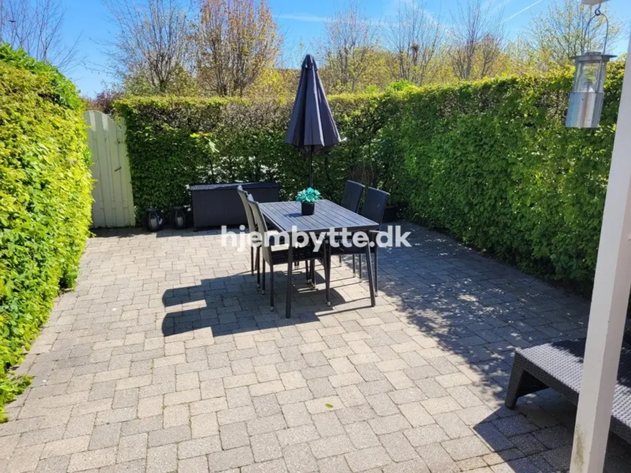 Billede 12 - Hjembytte - Enebærhegnet