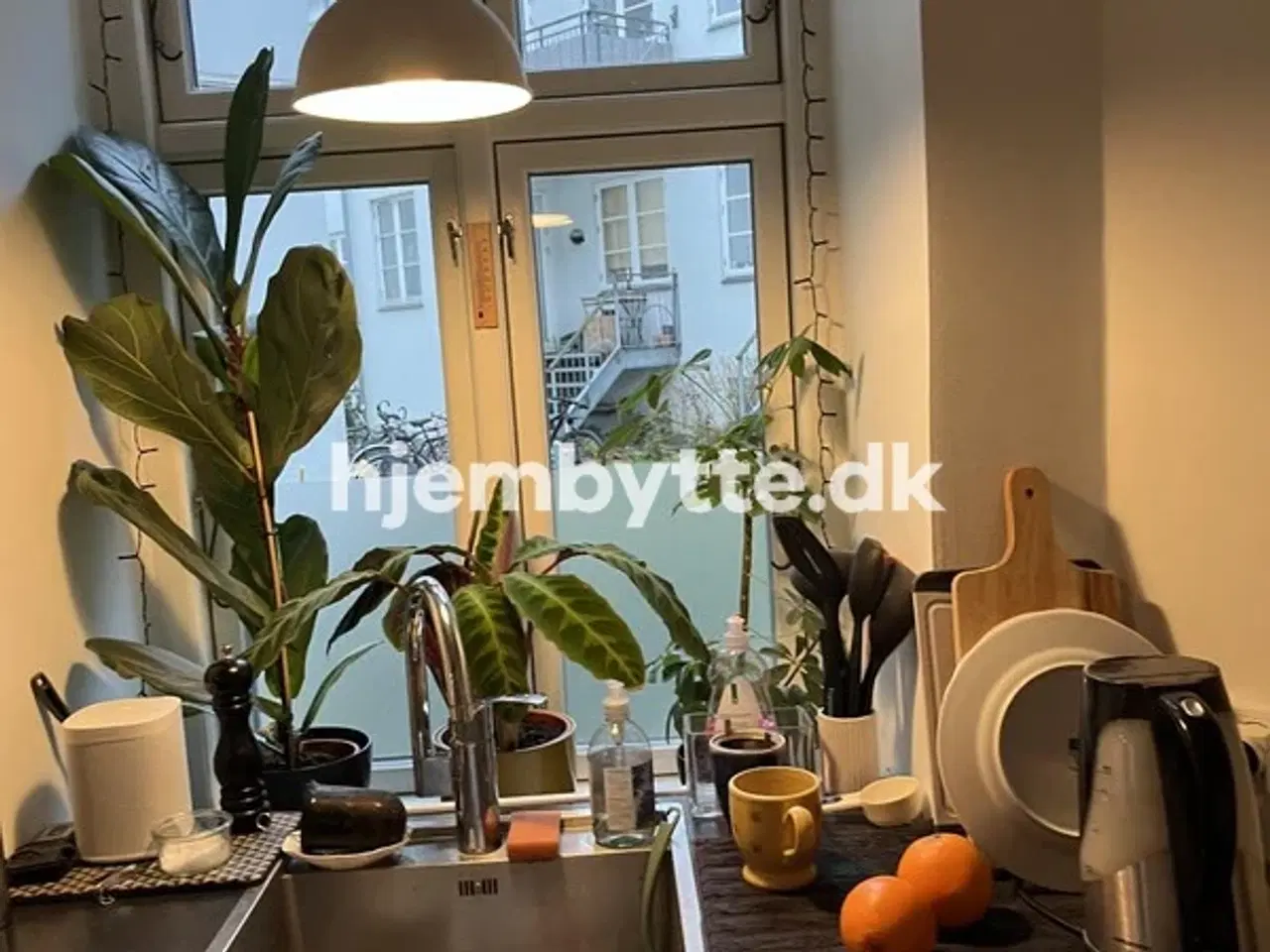 Billede 5 - Hjembytte - Horsensgade