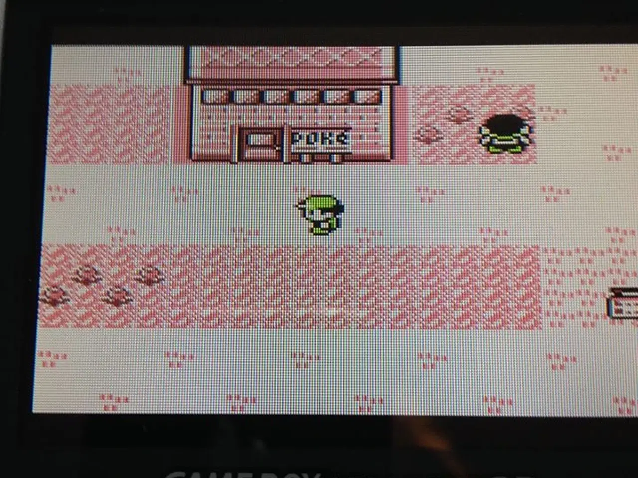 Billede 16 - Pokemon Yellow, Red, Silver, Gold , Gameboy Spil