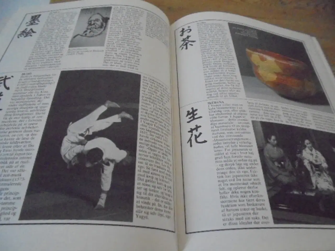 Billede 6 - Japan – Sommerudstilling i Brede 1983