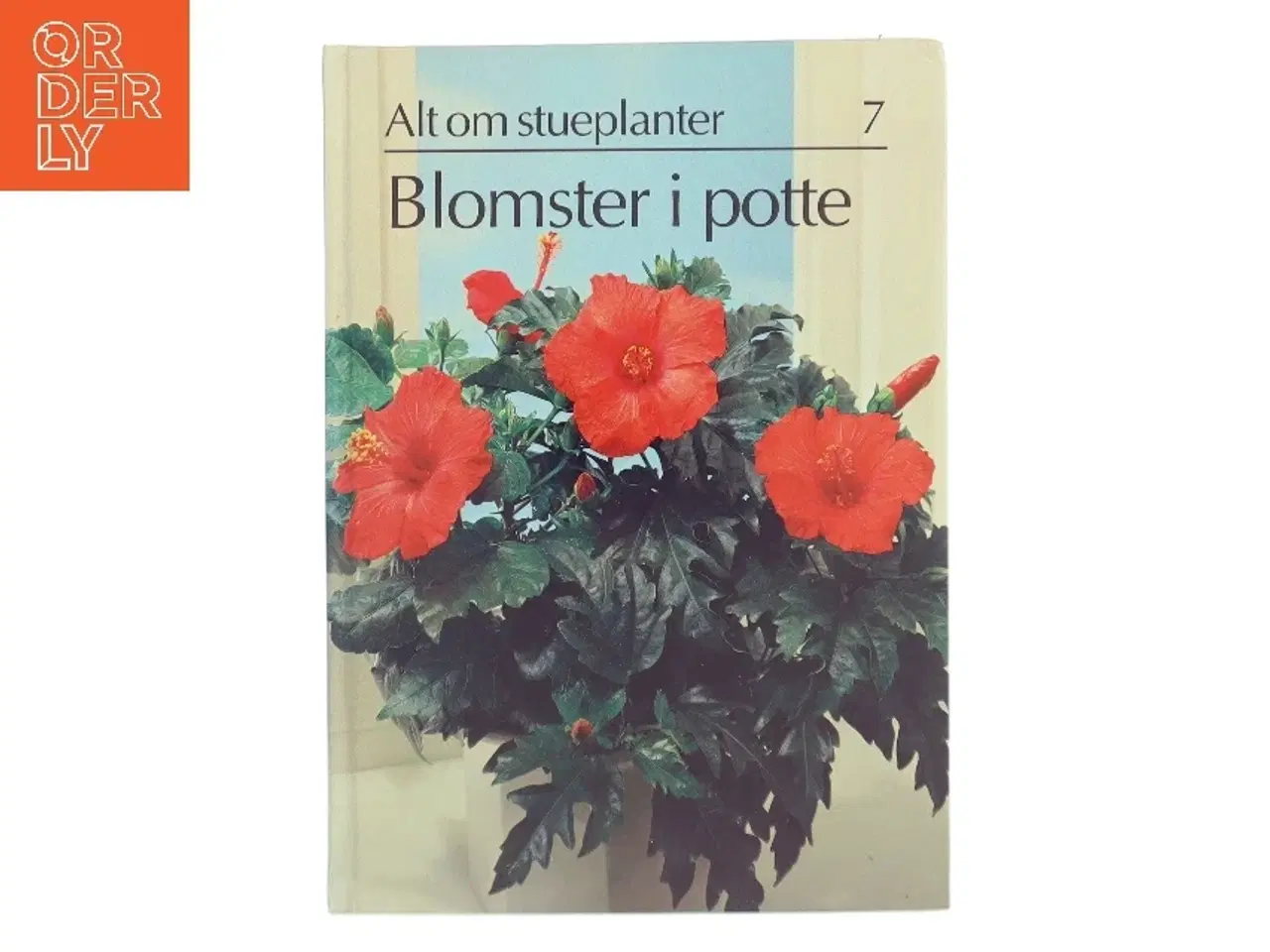 Billede 1 - Blomster i potte (Bog)