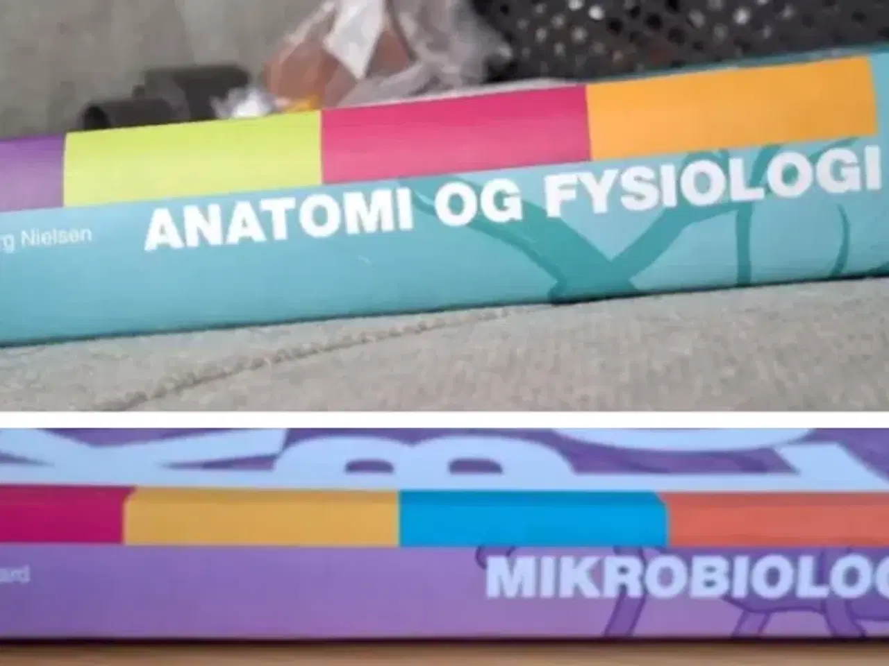 Billede 4 - Anatomi og Fysiologi & Mikrobiologi pakke