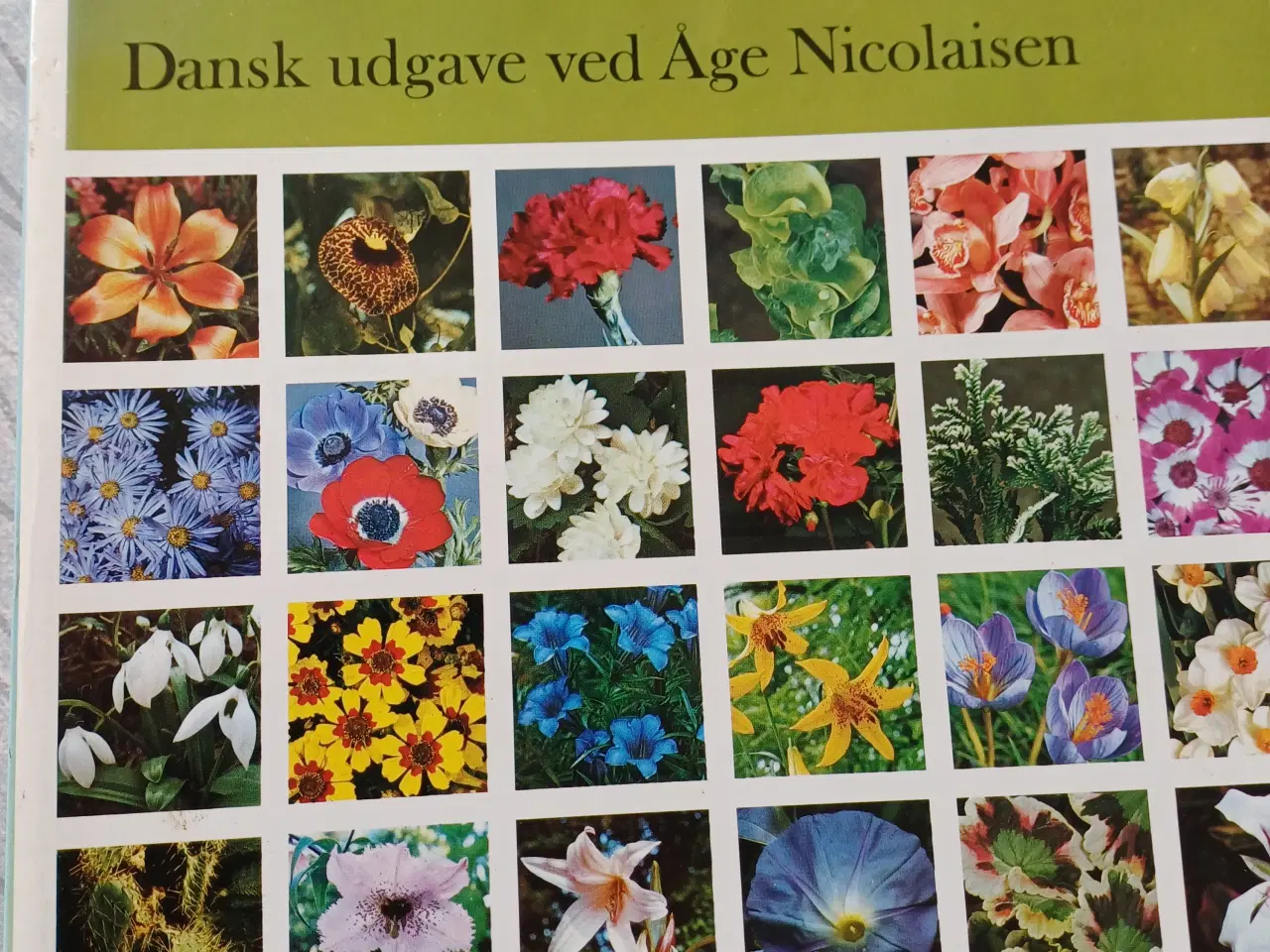 Billede 1 - Lademanns Blomsteratlas af Hay,Roy & Patrick Synge
