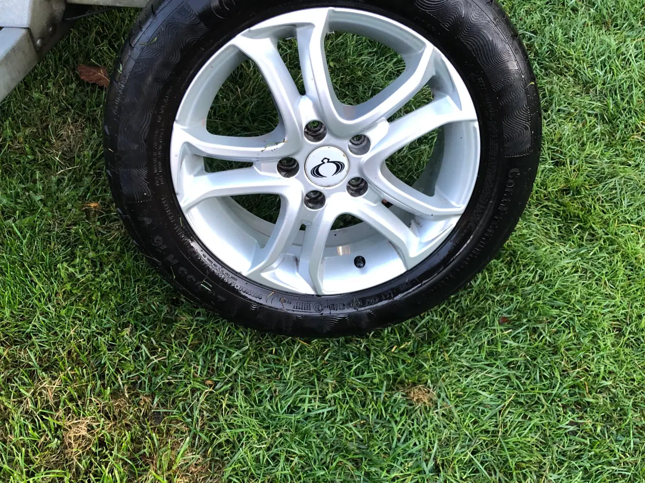 Billede 4 - Sommerdæk