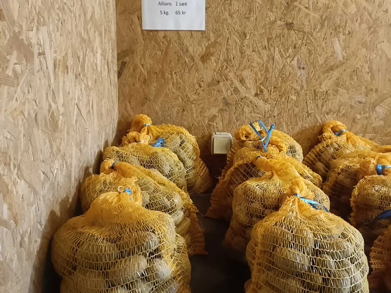 Billede 1 - Lægge Kartofler