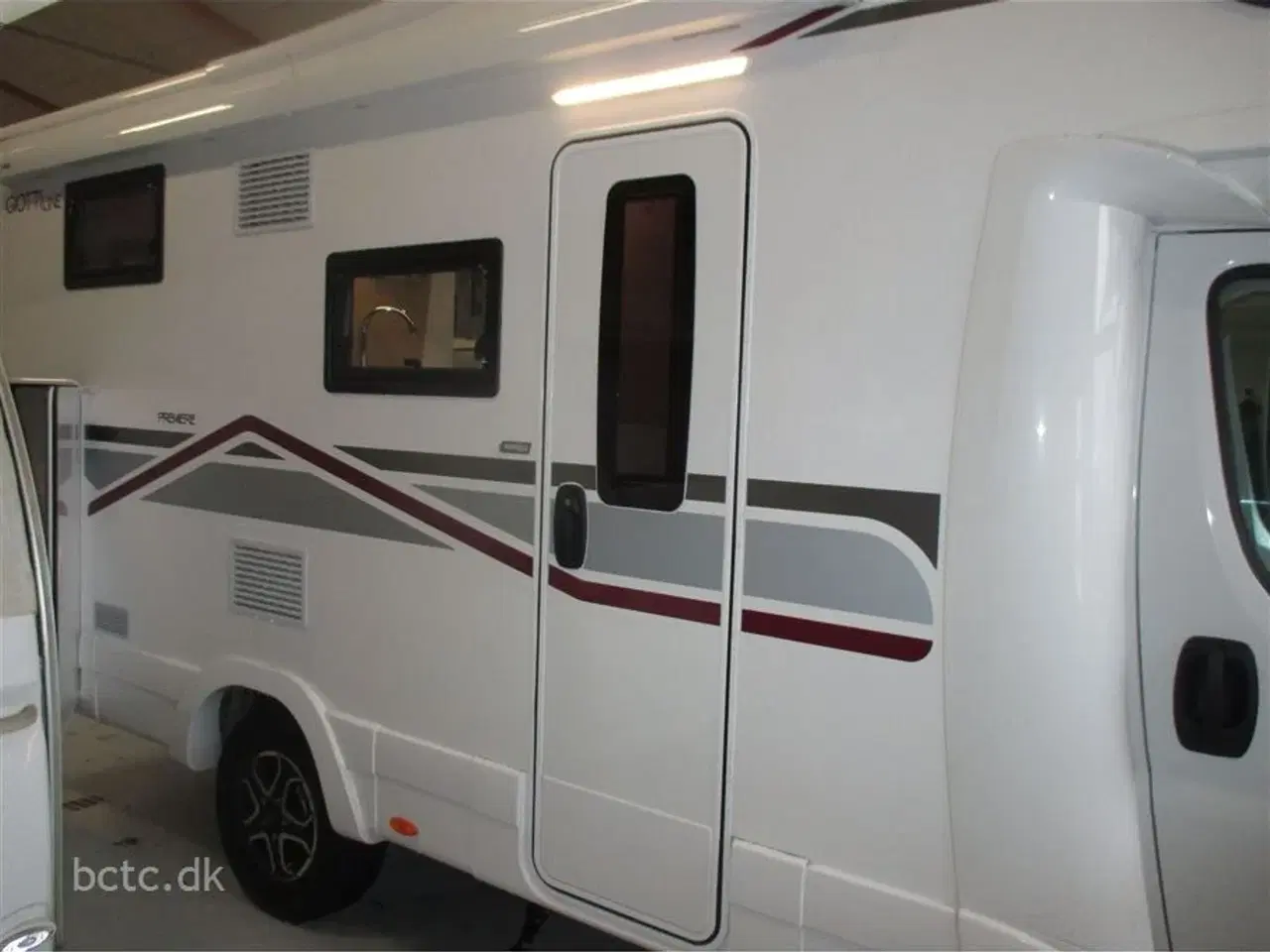 Billede 7 - 2026 - Giottiline Sienna