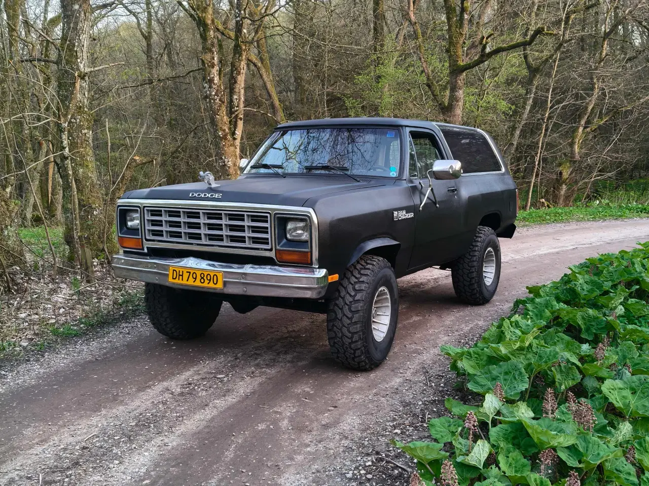 Billede 1 - Dodge Ramcharger 