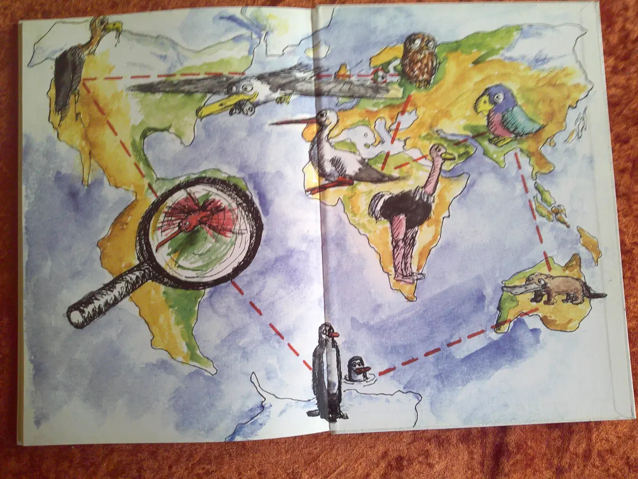 Billede 4 - Bymågen Manfreds helt fantastiske rejse