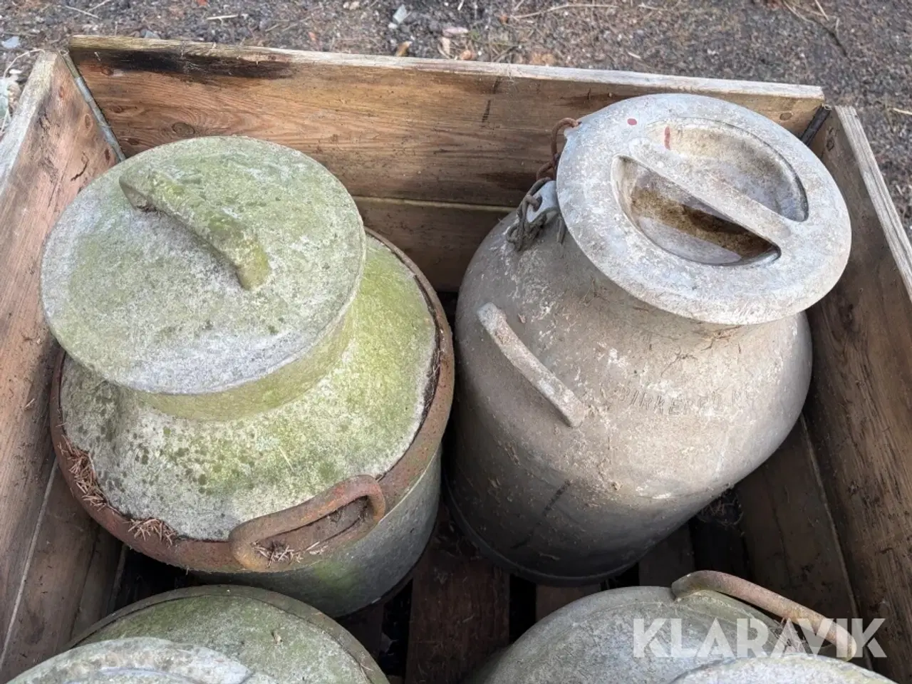 Billede 11 - Mælkejunger 12 styk samlet lot