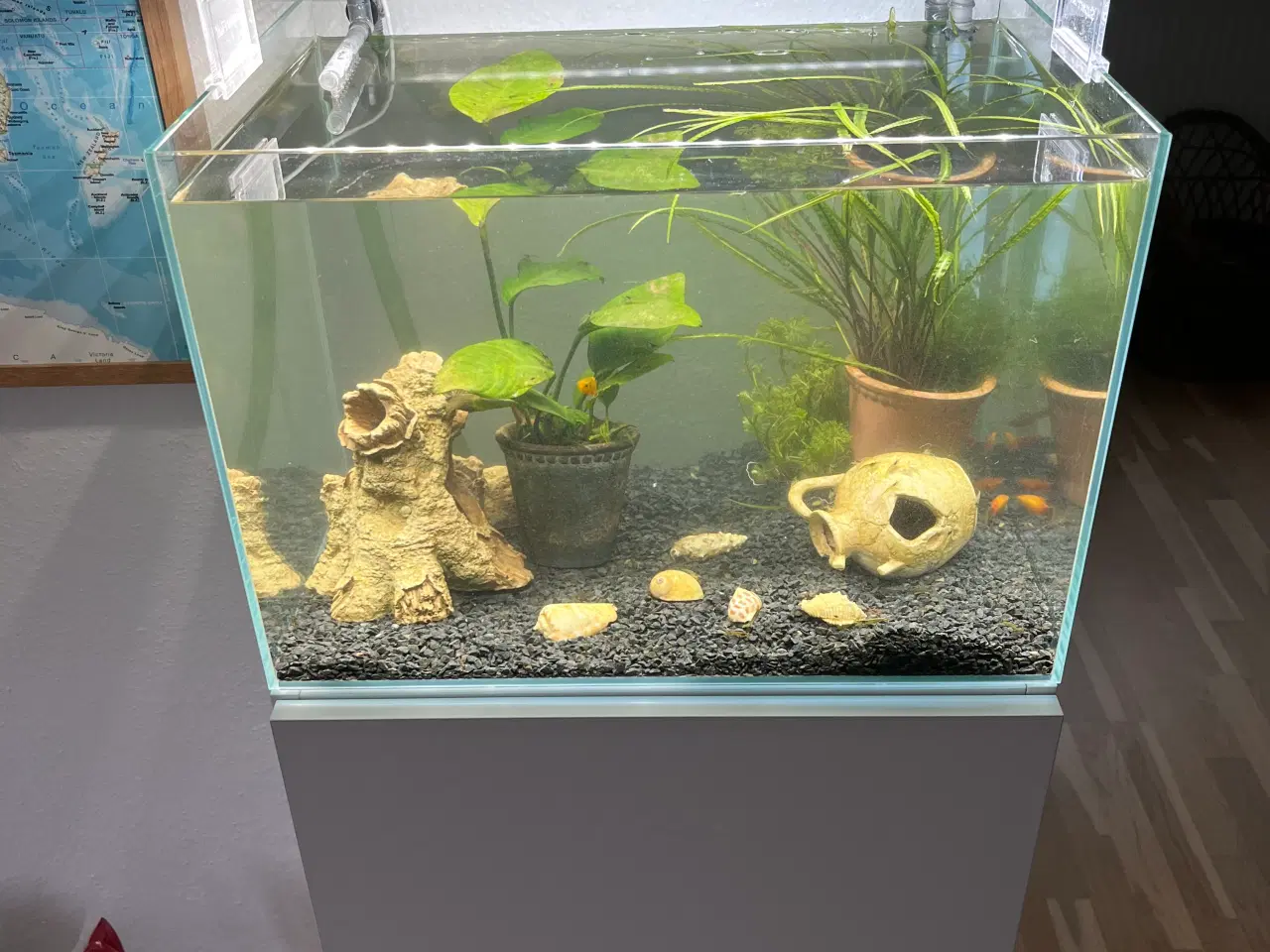 Billede 1 - 60L akvarium med møbel + pumpe 