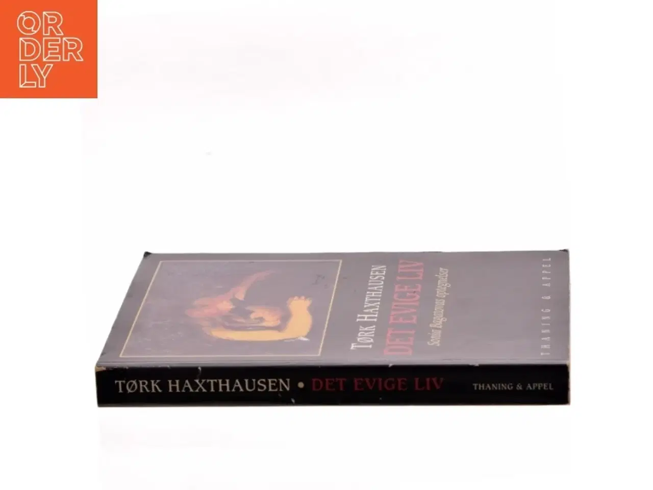 Billede 2 - Det evige liv : Sonia Bagatovas optegnelser af Tørk Haxthausen (Bog)