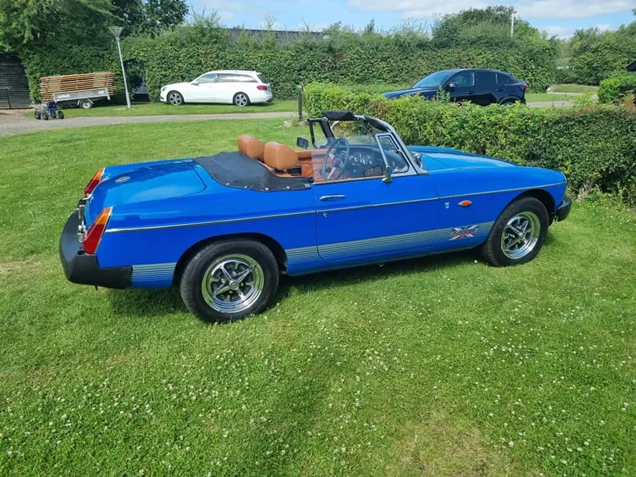 Billede 2 - mgb rooster