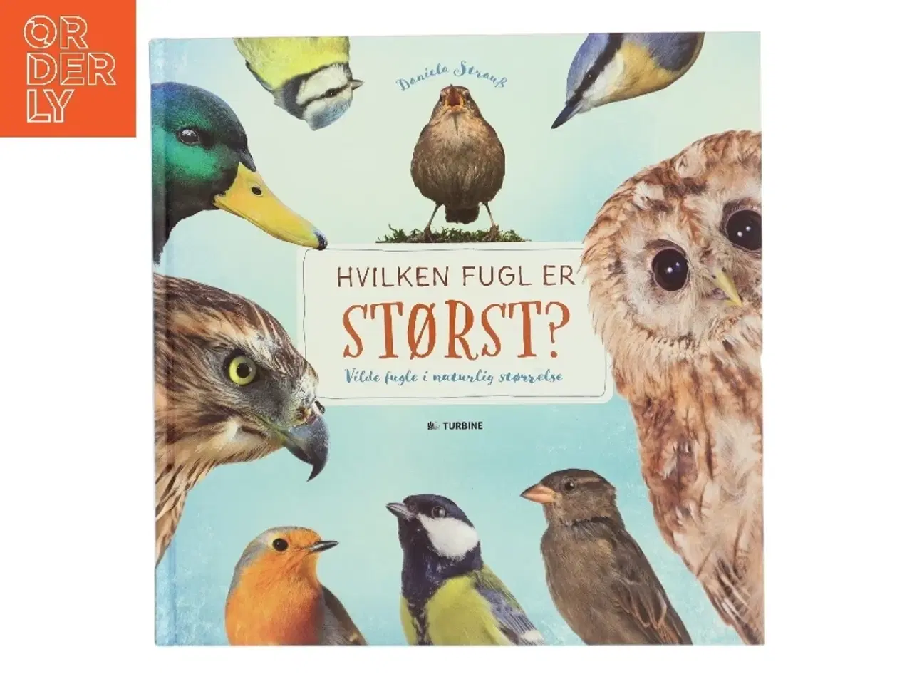 Billede 1 - Hvilken fugl er størst? af Daniela Straß (Bog)