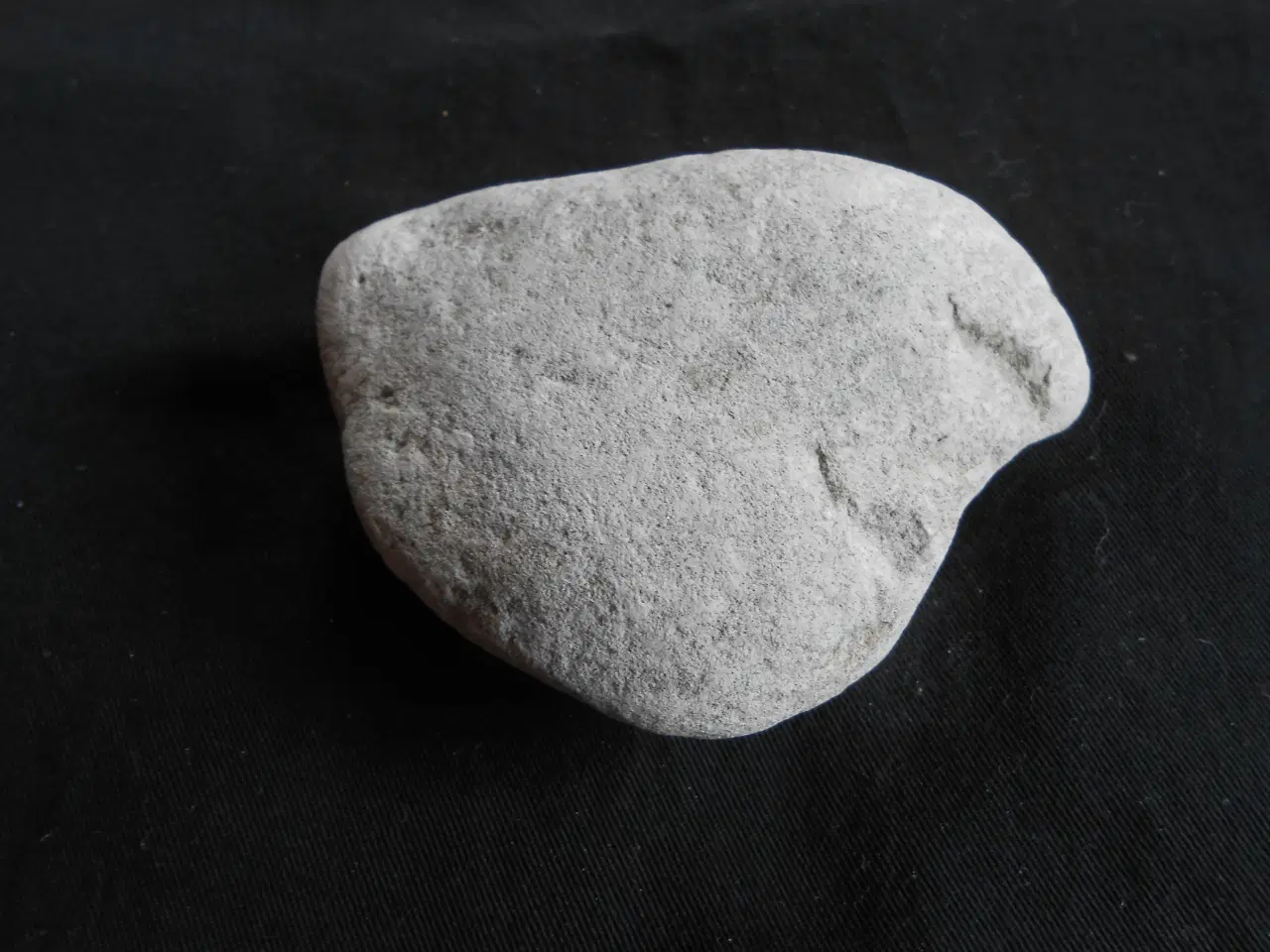 Billede 4 - Fossil Tydelig aftryk Muslingeskal Spondylus    