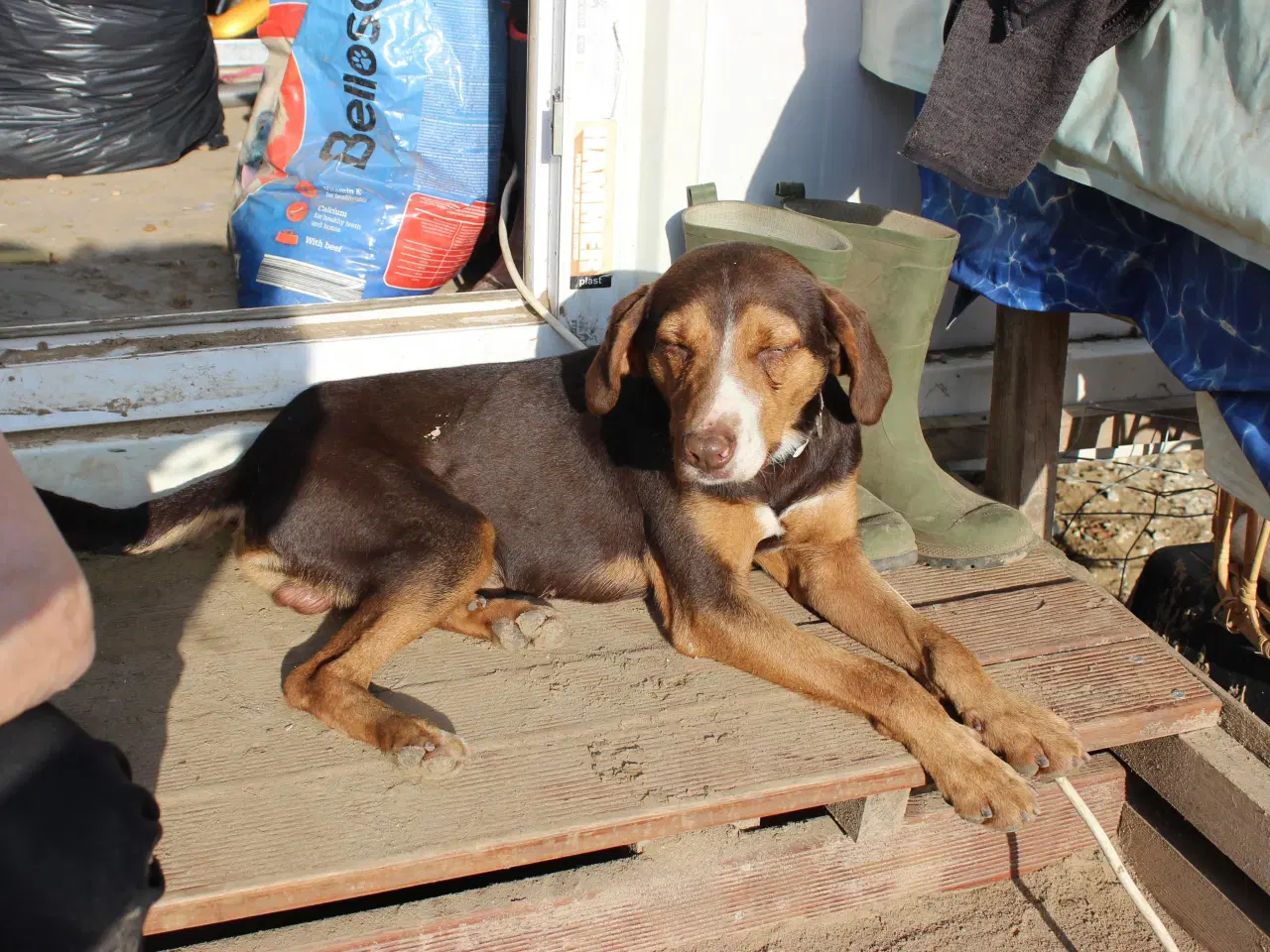 Billede 1 - Frode søger sin egen familie❤️