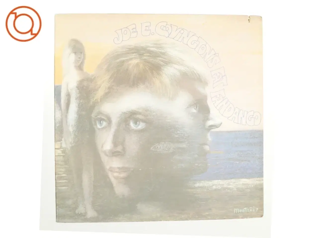 Billede 1 - Joe E covingtons et fanddango