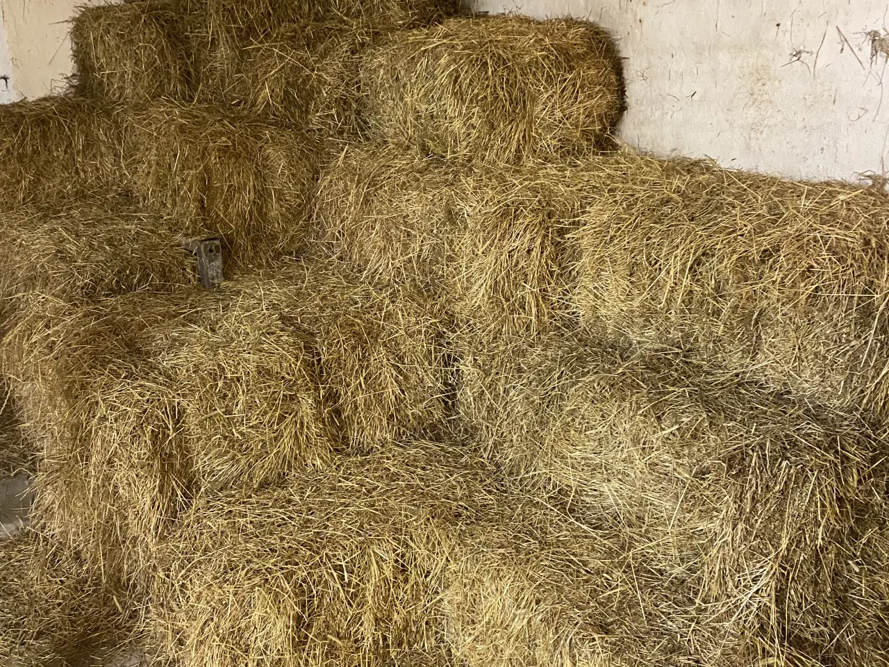 Billede 1 - Små balle hø
