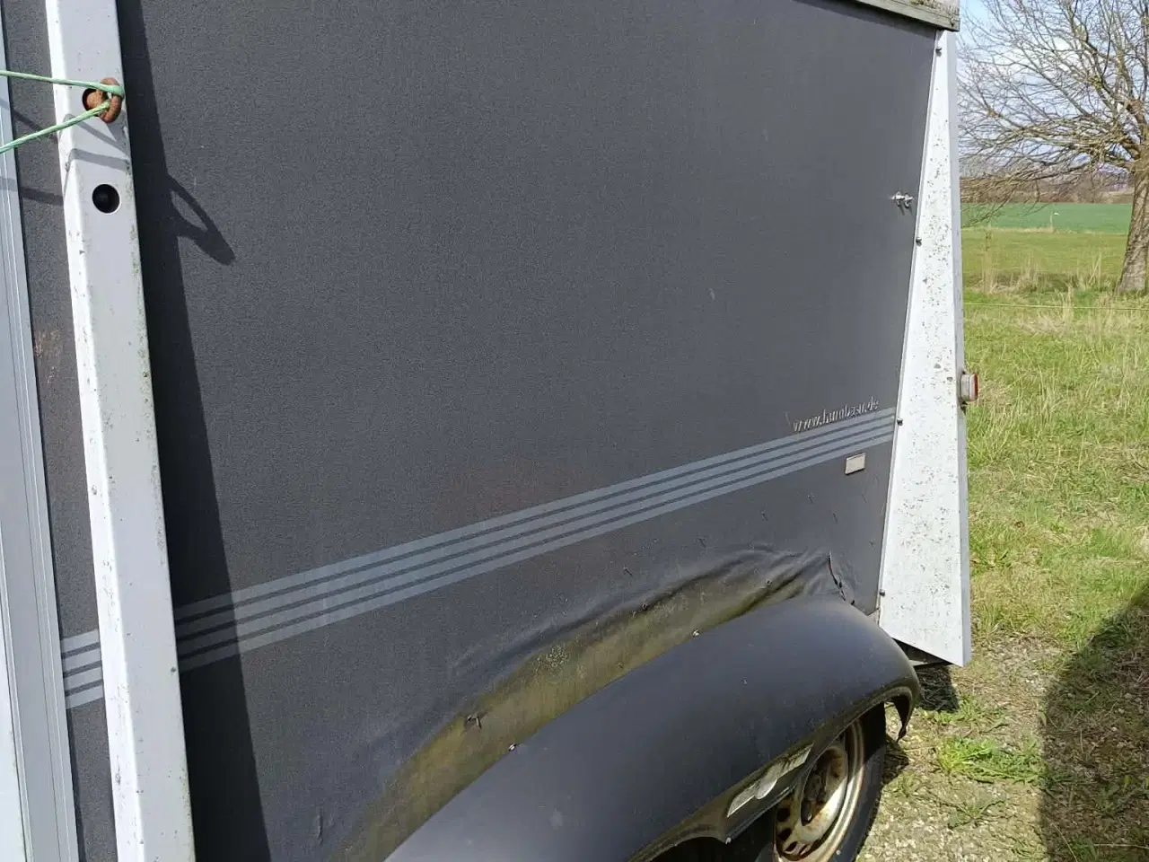 Billede 4 - Single hestetrailer 