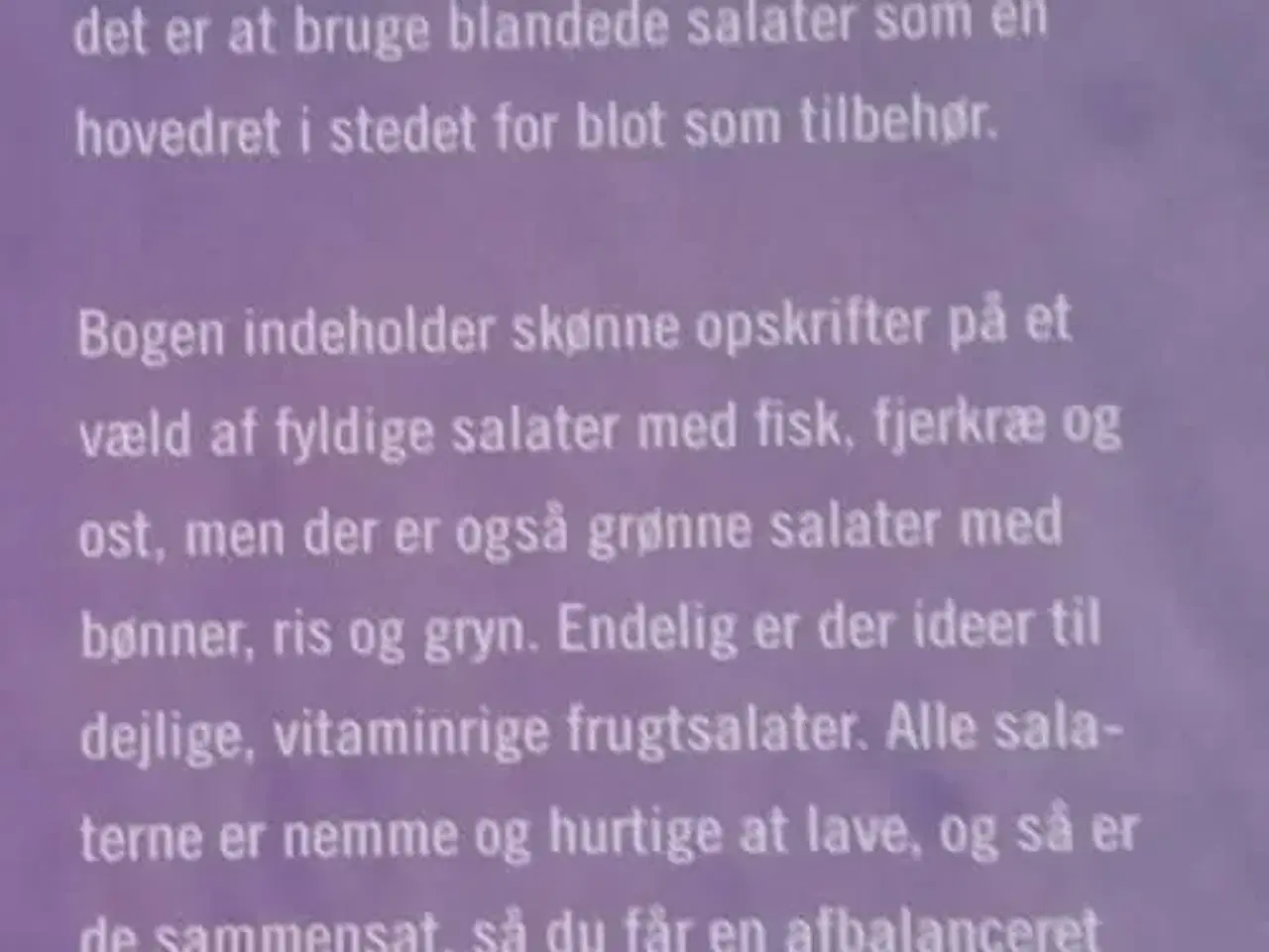 Billede 2 - Lene Hanssons salater til alle dagens må