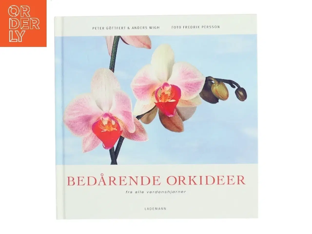 Billede 1 - Bedårende orkideer fra alle verdenshjørner (Bog)