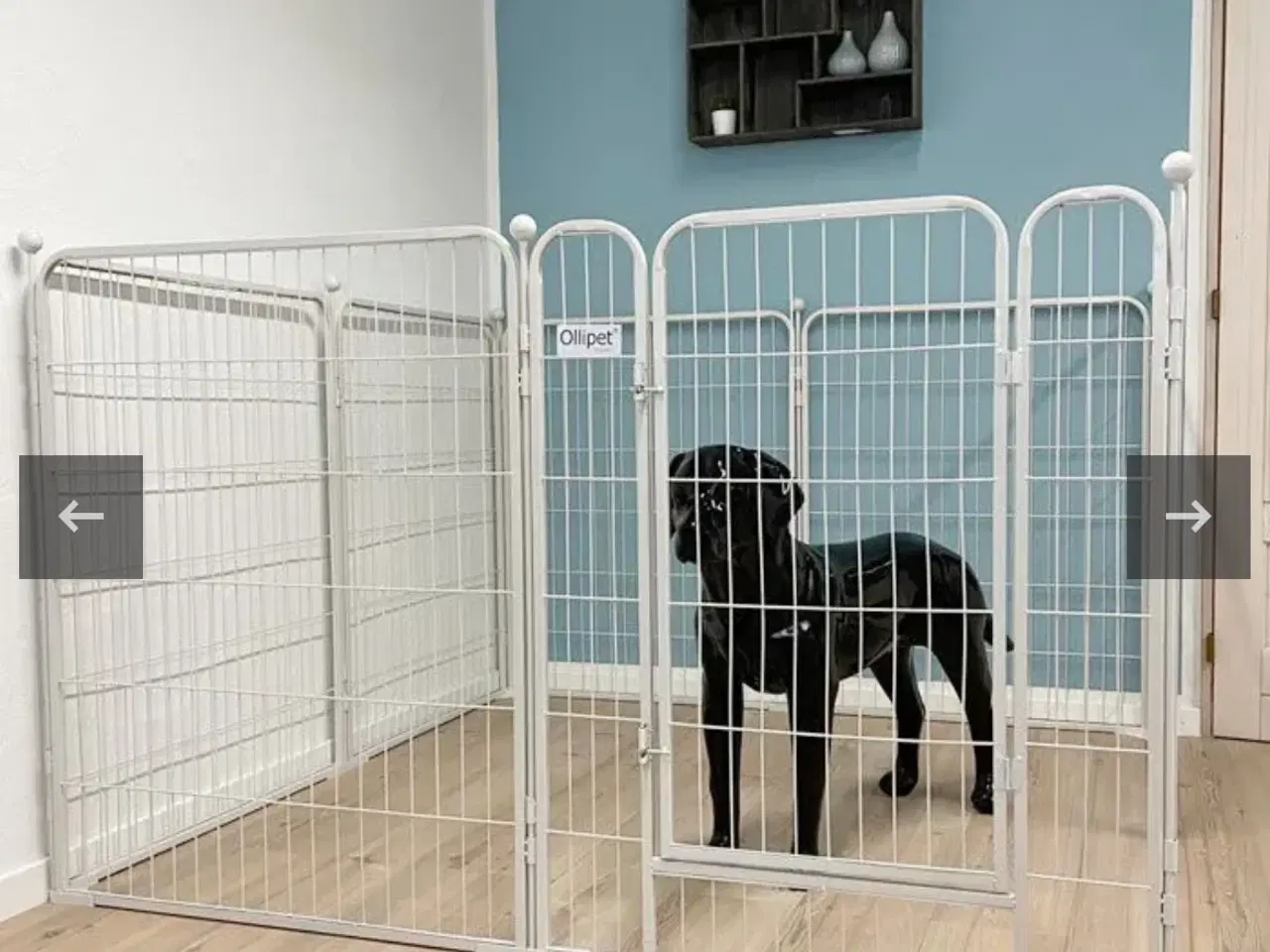 Billede 2 - Hvalpe/hundegård