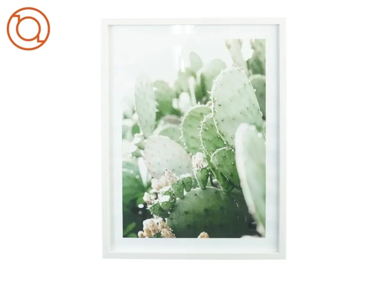 Billede 1 - Plakat og billedramme (str. 42 x 32 cm)