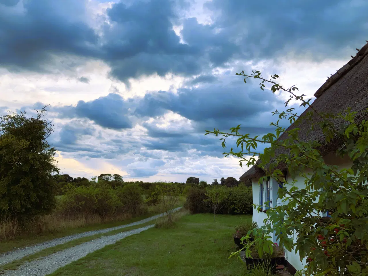 Billede 19 - Hyggeligheden til salg