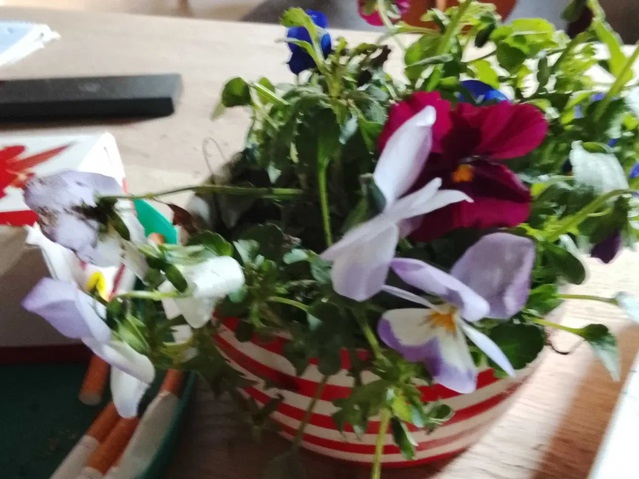 Billede 1 - 3 kvart seng købes,fyñ