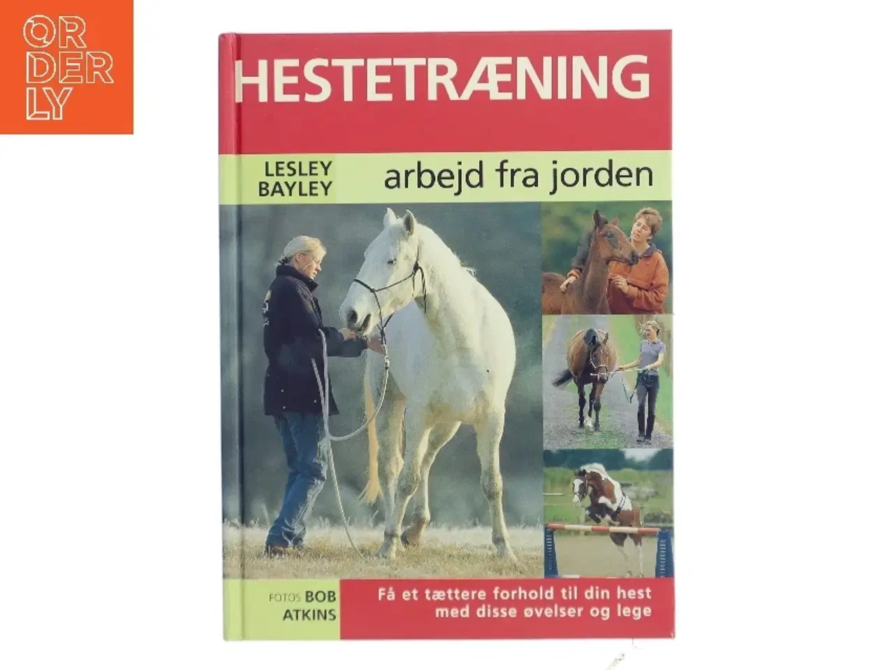 Billede 1 - Hestetræning : arbejd fra jorden af Lesley Bayley (Bog)