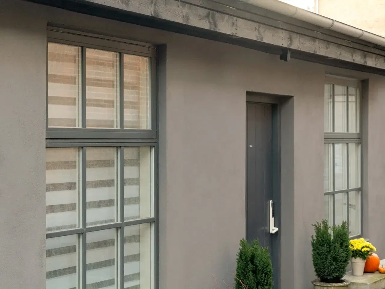 Billede 12 - Potentiale med puls. Projekt med retning.