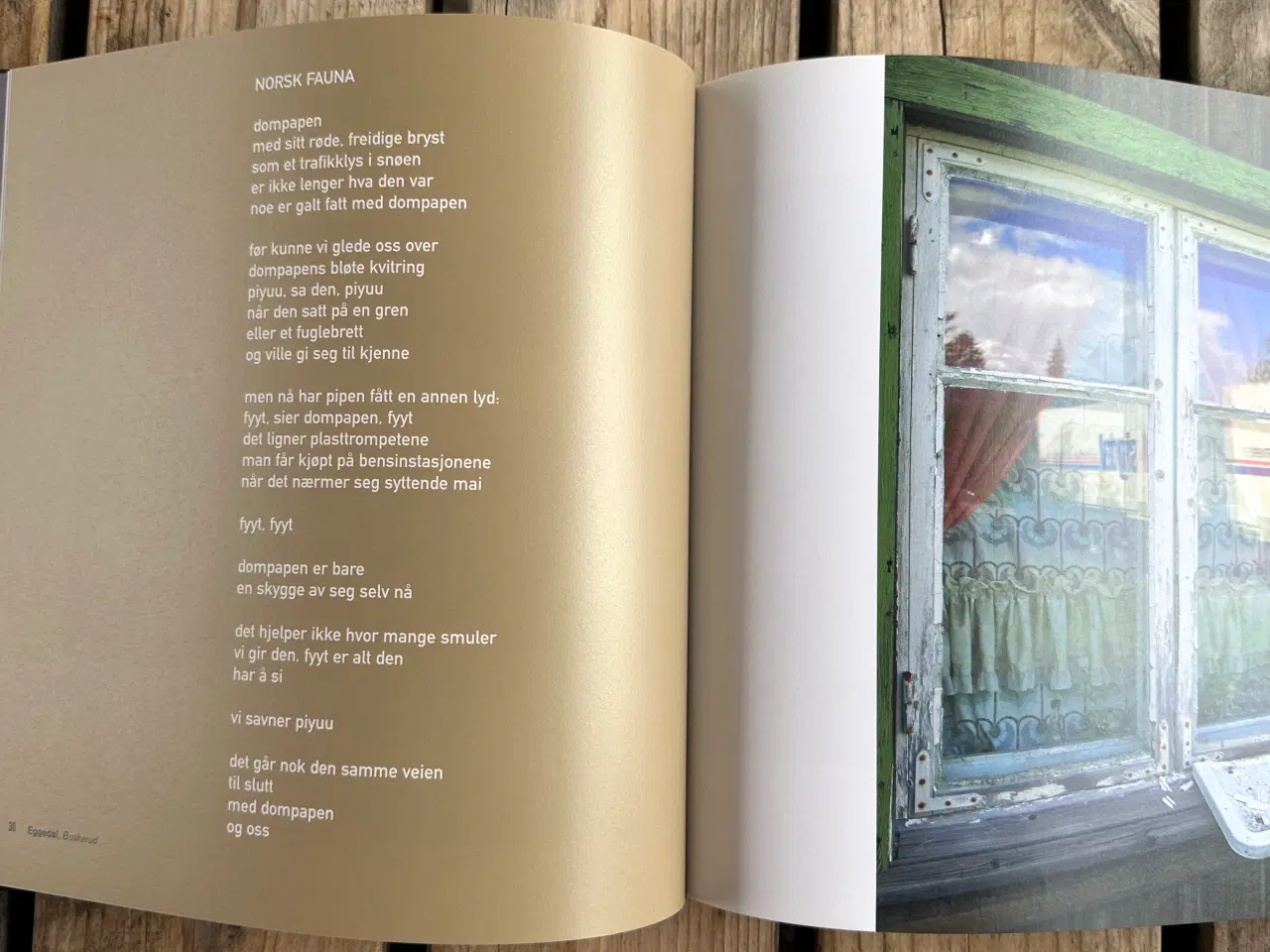 Billede 7 - Norske omveier – i blues og bilder – Norsk
