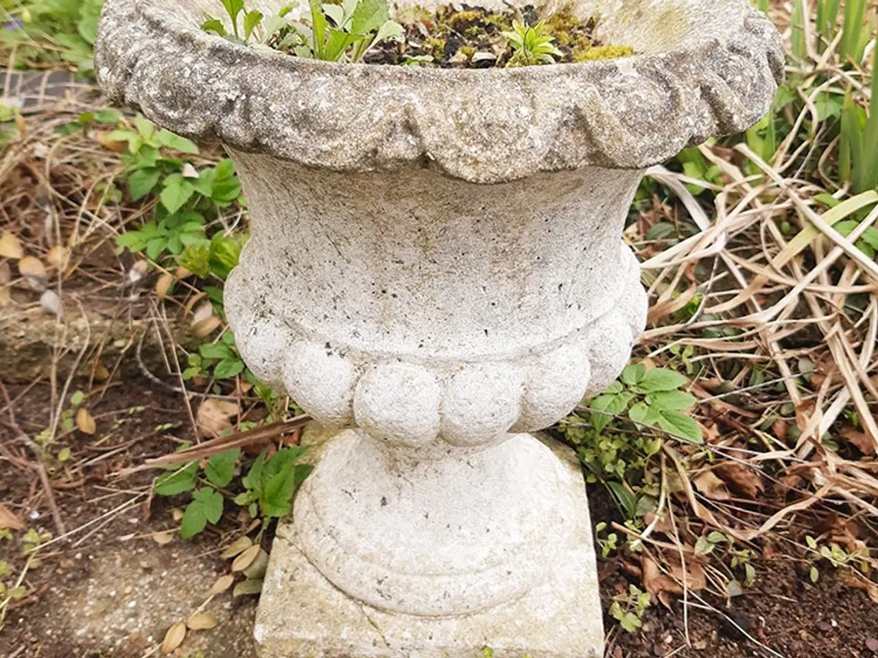 Billede 2 - Havekrukke.