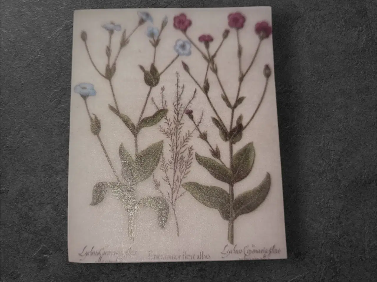 Billede 1 - Unikke papirark med smukke botaniske illustratione