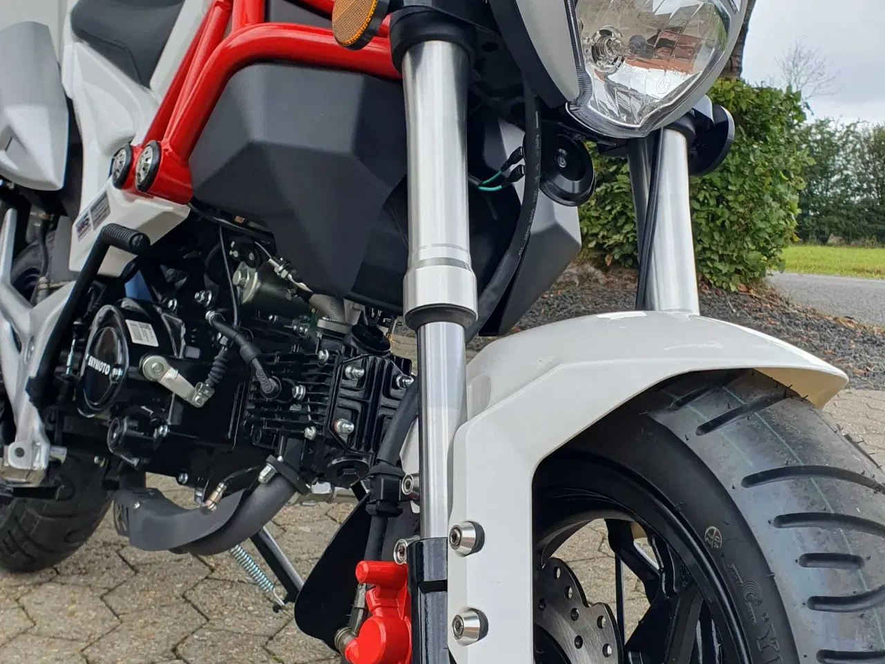 Billede 5 - Dax fra Skyteam