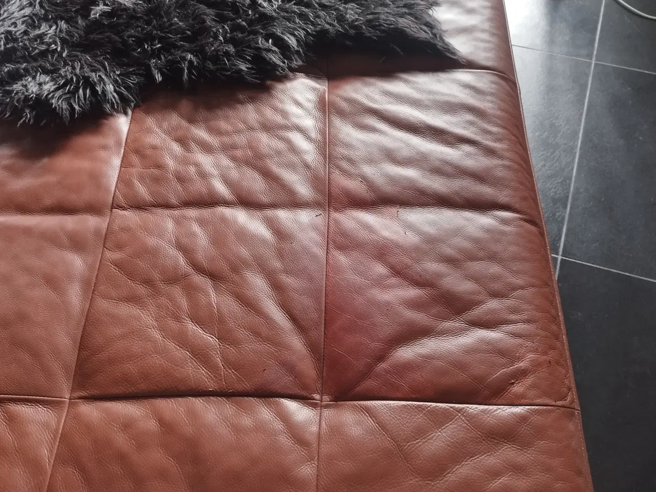 Billede 4 - Rolf Benz DONO