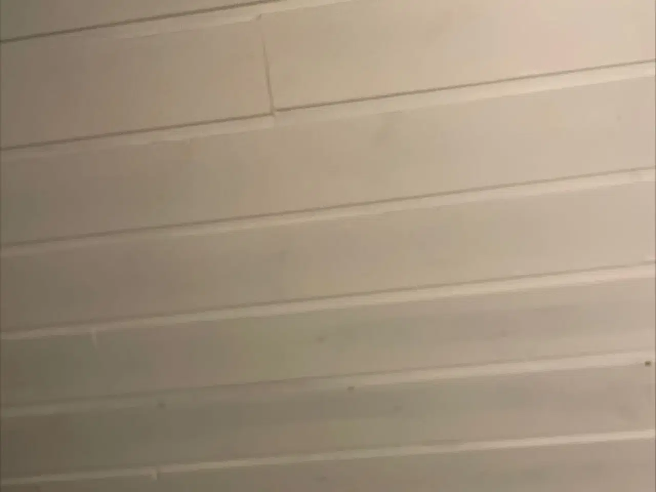 Billede 1 - Kalkunkok købes