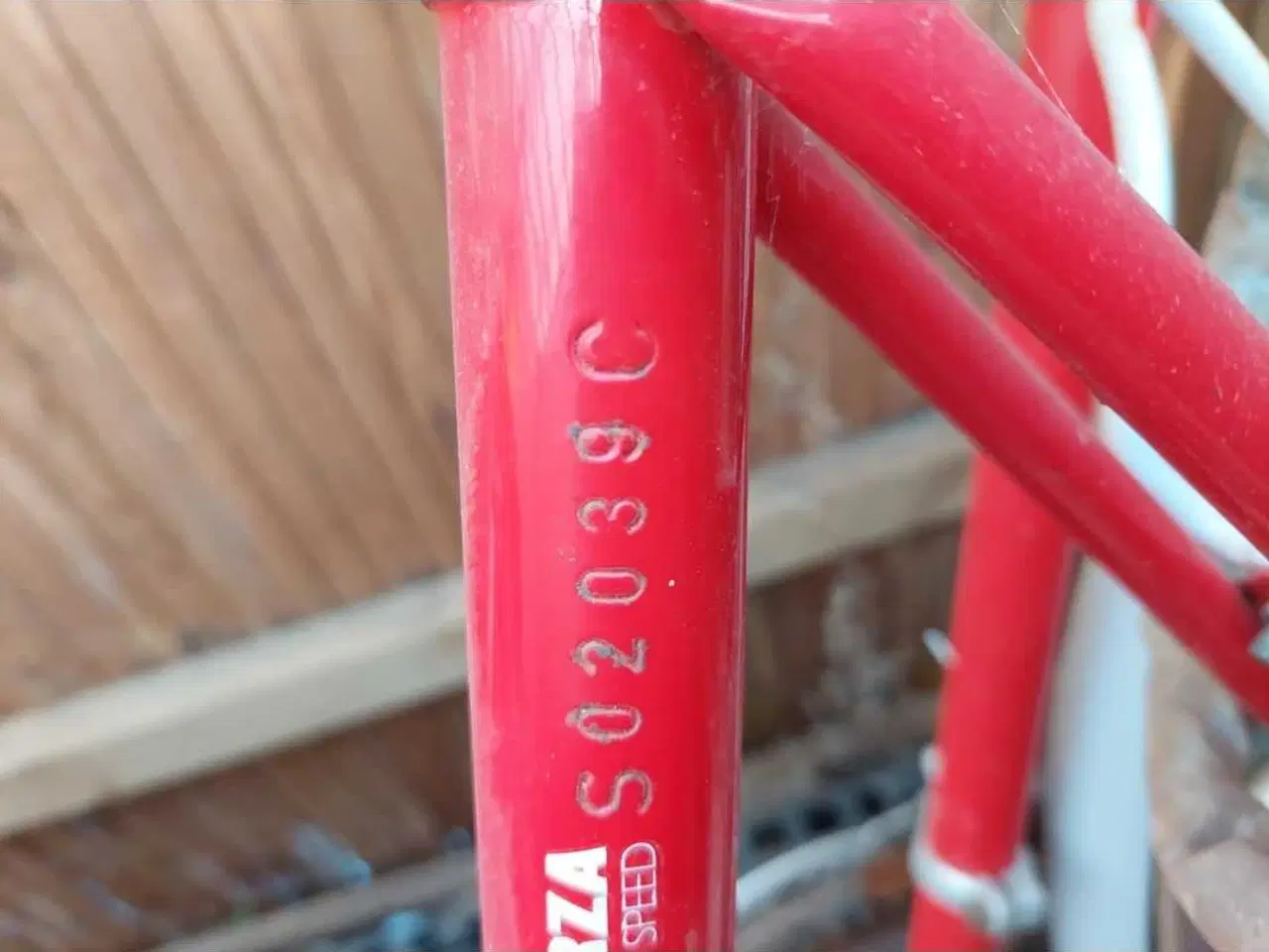 Billede 19 - Dame og herre Sco cykler