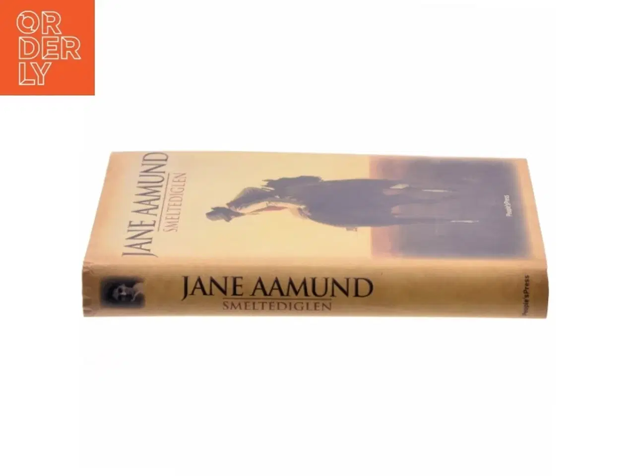 Billede 2 - Smeltediglen : andet bind i slægtskrøniken om de dansk-argentinske indvandrere : roman af Jane Aamund (Bog)