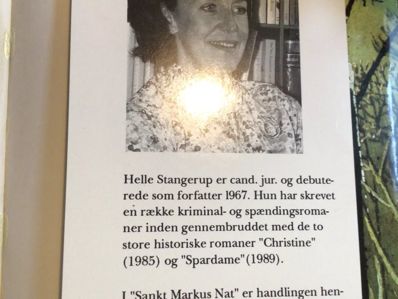 Billede 3 - Helle Stangerup : Sankt Markus Nat