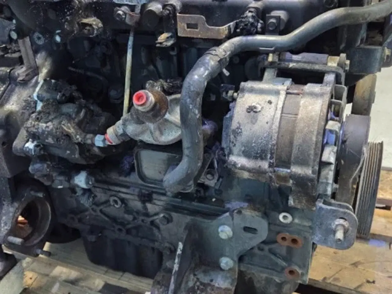 Billede 14 - Bobcat TL38.70X D34  Motor  7032144