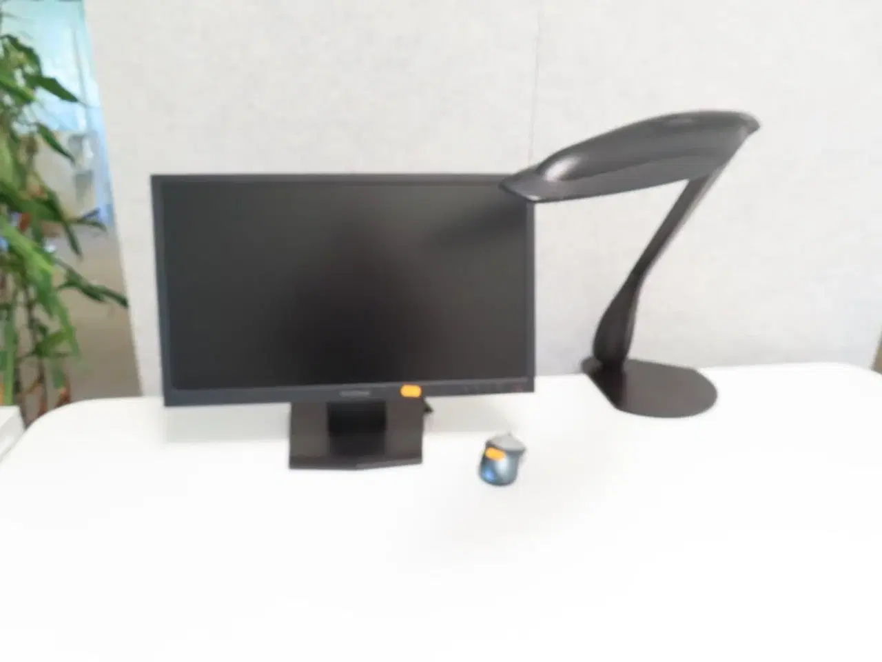 Billede 1 - 24" monitor, LENOVO LT2423WC, mus og bordlampe