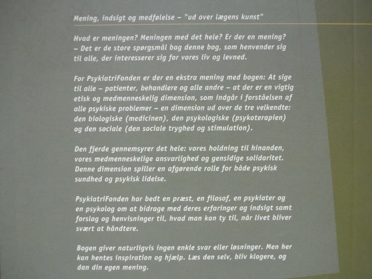 Billede 3 - mening, indsigt og medfølelse ud over lægens kunst