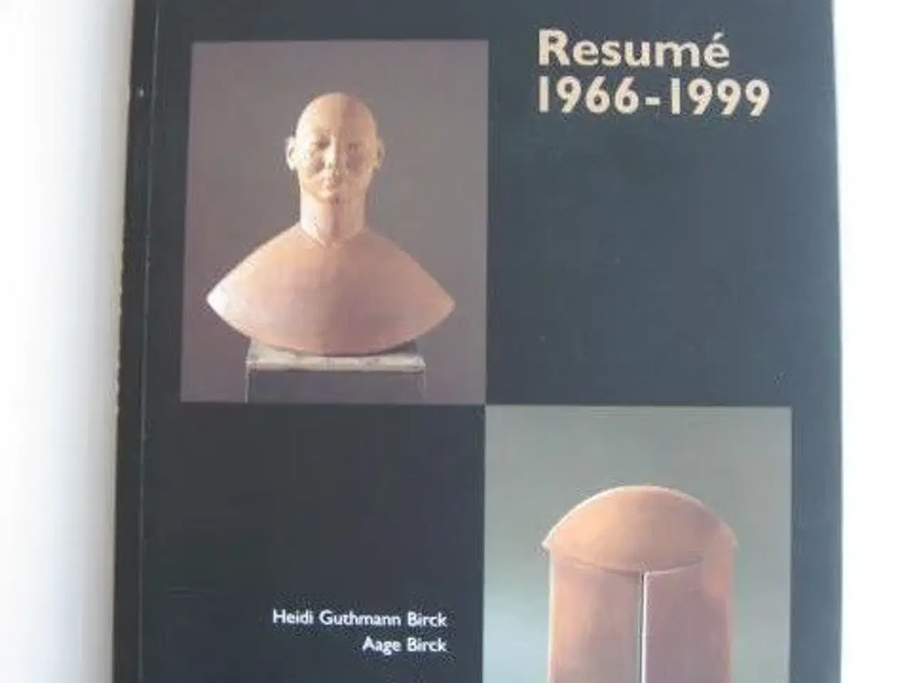 Billede 1 - Resumé 1966-1999