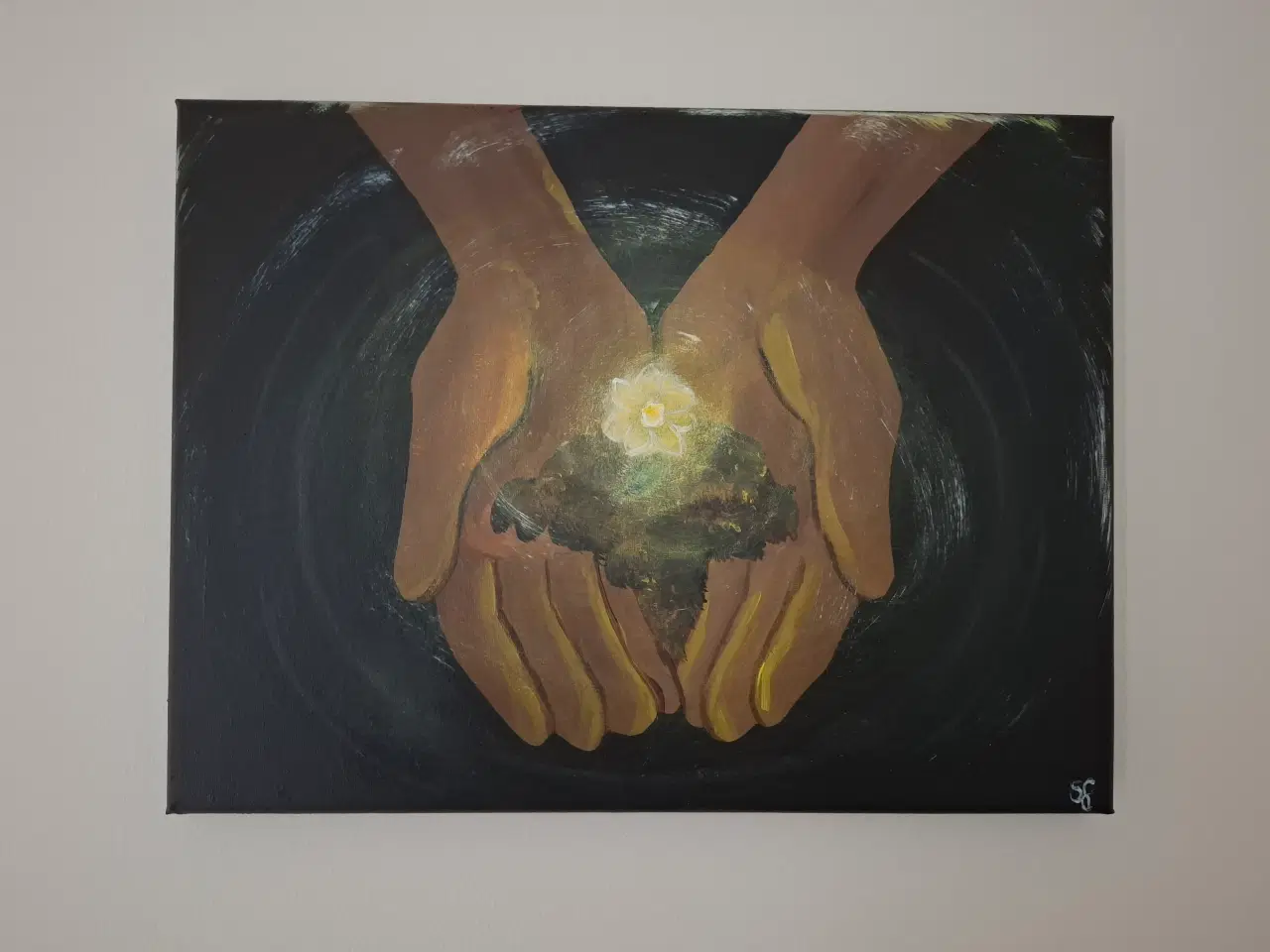 Billede 2 - Sometimes all you need is a single seed 